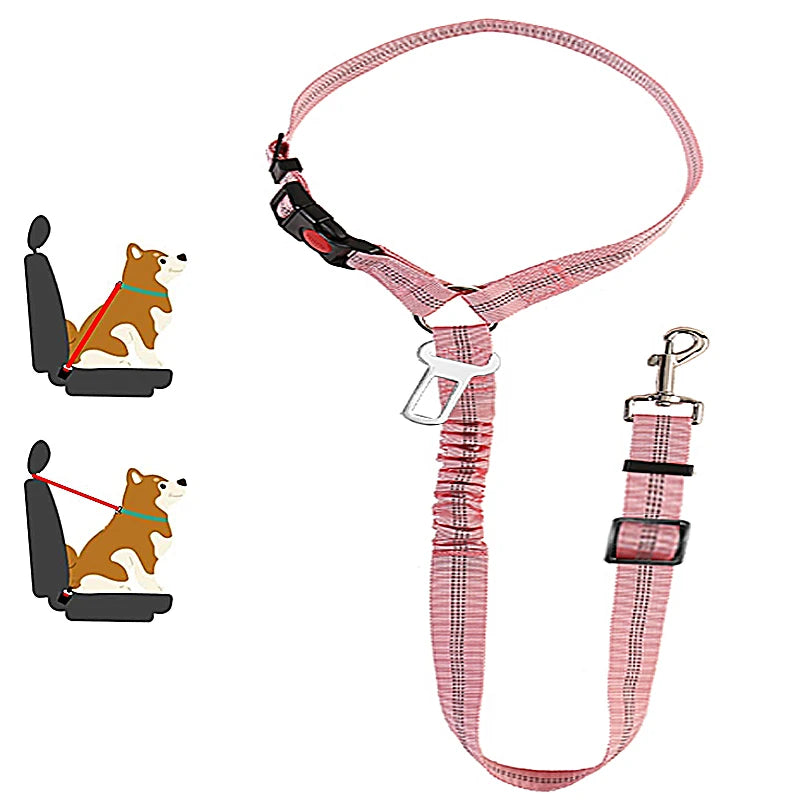 PetSafe - 2-in-1 Hundegeschirr & Leine – Verstellbarer Autosicherheitsgurt für Hunde & Katzen