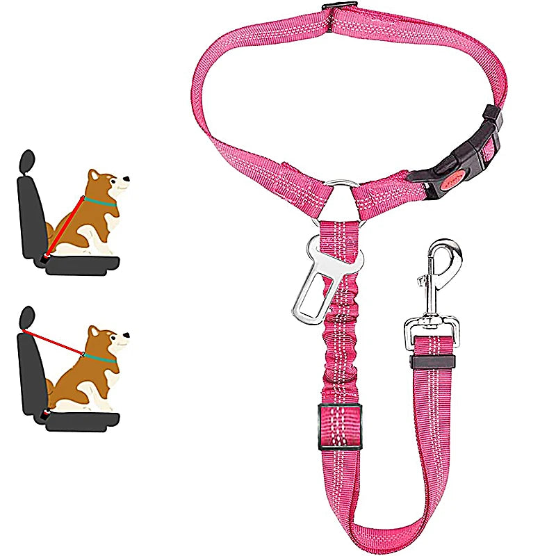 PetSafe - 2-in-1 Hundegeschirr & Leine – Verstellbarer Autosicherheitsgurt für Hunde & Katzen