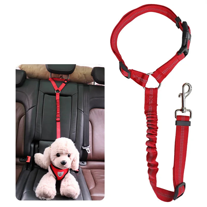 PetSafe - 2-in-1 Hundegeschirr & Leine – Verstellbarer Autosicherheitsgurt für Hunde & Katzen