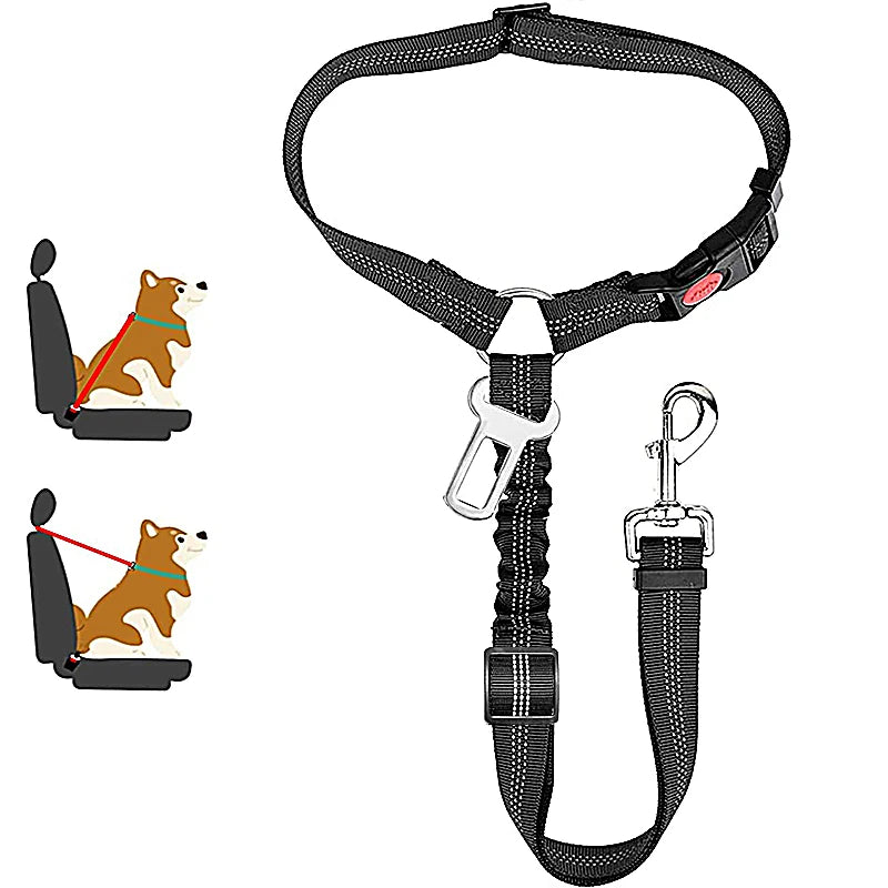 PetSafe - 2-in-1 Hundegeschirr & Leine – Verstellbarer Autosicherheitsgurt für Hunde & Katzen