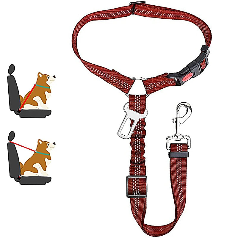 PetSafe - 2-in-1 Hundegeschirr & Leine – Verstellbarer Autosicherheitsgurt für Hunde & Katzen