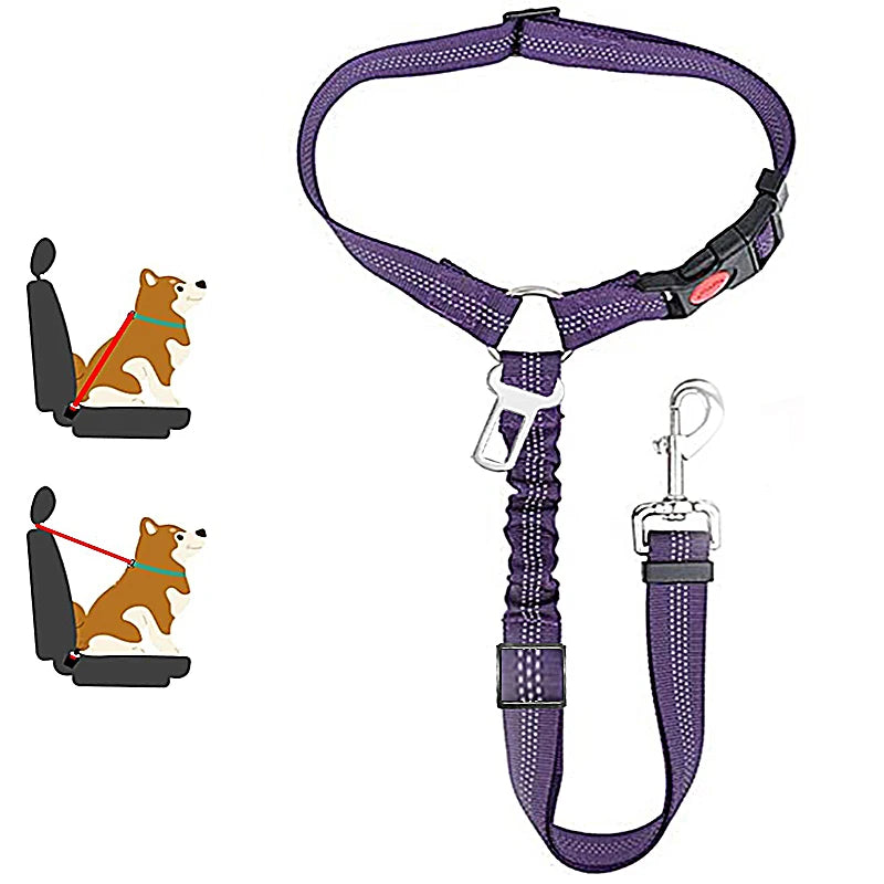 PetSafe - 2-in-1 Hundegeschirr & Leine – Verstellbarer Autosicherheitsgurt für Hunde & Katzen