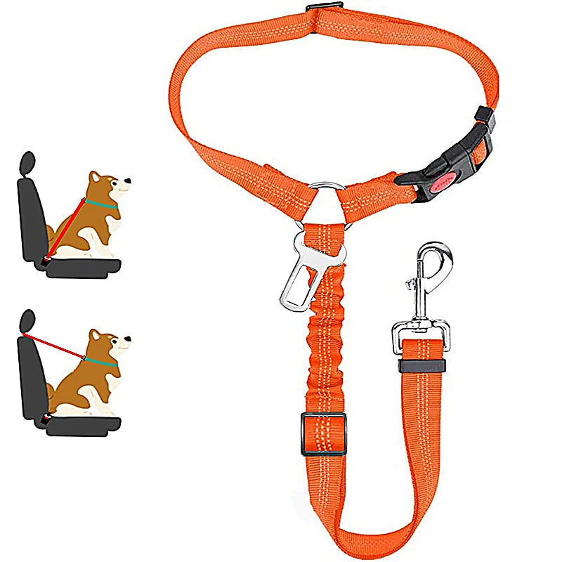 PetSafe - 2-in-1 Hundegeschirr & Leine – Verstellbarer Autosicherheitsgurt für Hunde & Katzen