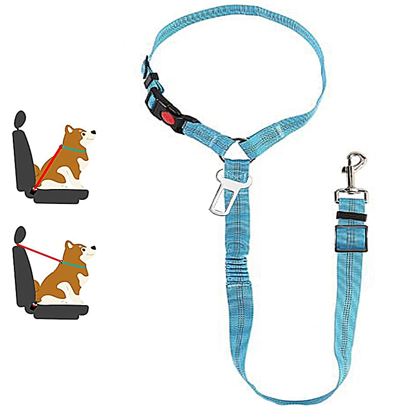 PetSafe - 2-in-1 Hundegeschirr & Leine – Verstellbarer Autosicherheitsgurt für Hunde & Katzen
