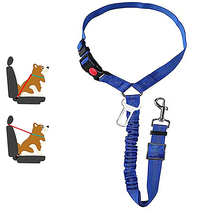 PetSafe - 2-in-1 Hundegeschirr & Leine – Verstellbarer Autosicherheitsgurt für Hunde & Katzen