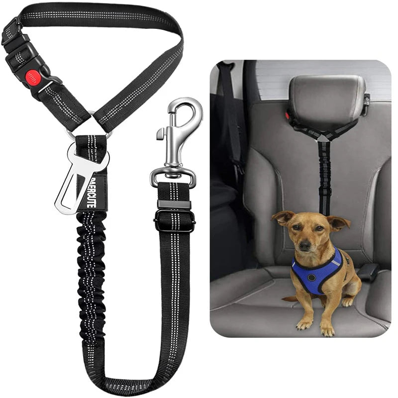 PetSafe - 2-in-1 Hundegeschirr &amp; Leine – Verstellbarer Autosicherheitsgurt für Hunde &amp; Katzen