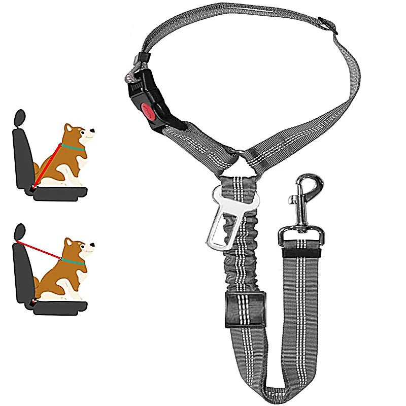 PetSafe - 2-in-1 Hundegeschirr &amp; Leine – Verstellbarer Autosicherheitsgurt für Hunde &amp; Katzen